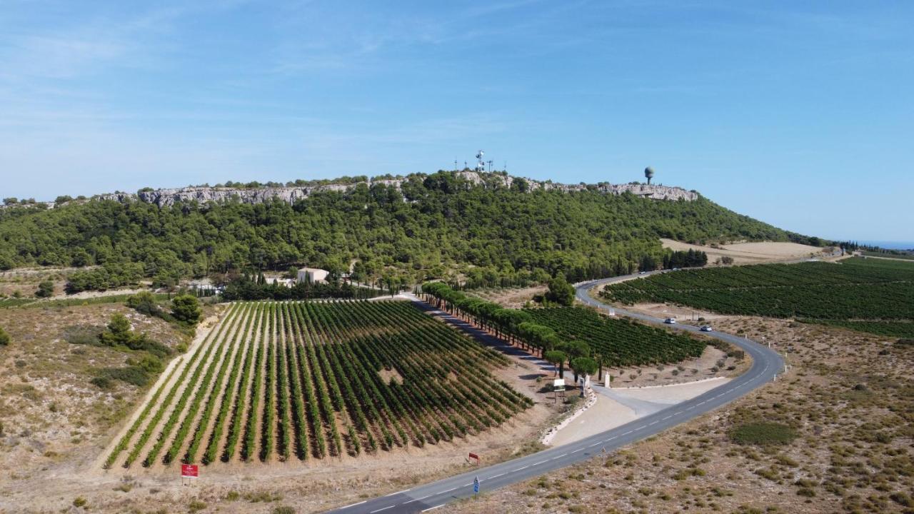 Chateau Catherine De Montgolfier B&B Et Gites Narbonne Exterior photo